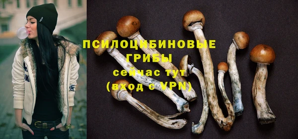 мяу мяу кристалл Алексин